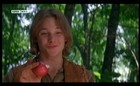 Brad Renfro : brad-renfro-1359308361.jpg