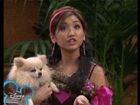 Brenda Song : brenda_song_1191014793.jpg