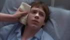 Bug Hall : SG_159587.jpg