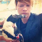 Calum Worthy : calum-worthy-1373824396.jpg