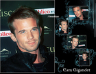 Cam Gigandet : cam_gigandet_1233160262.jpg