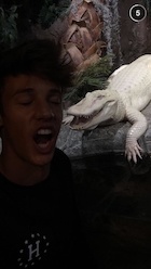 Cameron Dallas : cameron-dallas-1441805401.jpg