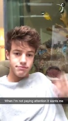 Cameron Dallas : cameron-dallas-1443818401.jpg