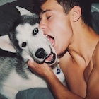 Cameron Dallas : cameron-dallas-1449676801.jpg