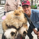 Cameron Dallas : cameron-dallas-1492288562.jpg