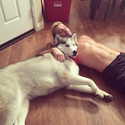 Cameron Dallas : cameron-dallas-1511850242.jpg