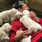 Cameron Dallas : cameron-dallas-1520191441.jpg