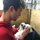 Cameron Dallas : cameron-dallas-1520196122.jpg