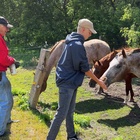 Carson Lueders : carson-lueders-1721539657.jpg