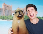 Charlie Puth : charlie-puth-1458435241.jpg