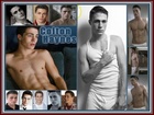 Colton Haynes : colton-haynes-1345651159.jpg