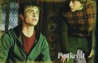 Daniel Radcliffe : TI4U_u1181683395.jpg