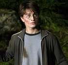 Daniel Radcliffe : daniel_radcliffe_1214460824.jpg