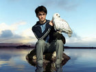 Daniel Radcliffe : daniel_radcliffe_1293840516.jpg