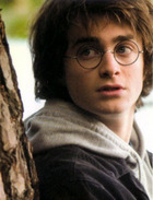 Daniel Radcliffe : harrytree.jpg