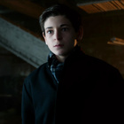 David Mazouz : david-mazouz-1429032800.jpg