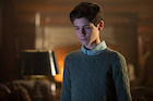 David Mazouz : david-mazouz-1445690978.jpg