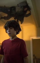 David Mazouz : david-mazouz-1489105726.jpg