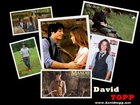 David Topp : david-topp-1386093327.jpg