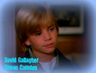 David Gallagher : david-gallagher-1322103268.jpg