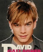 David Gallagher : david9988331.jpg