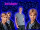 David Gallagher : david_gallagher_1218155864.jpg