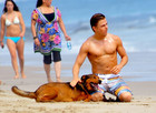 Derek Hough : derek-hough-1346180562.jpg