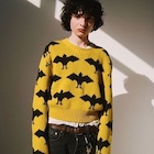 Finn Wolfhard : finn-wolfhard-1509794641.jpg