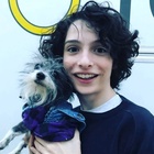 Finn Wolfhard : finn-wolfhard-1526084104.jpg