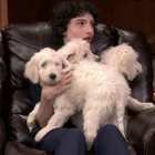 Finn Wolfhard : finn-wolfhard-1533684202.jpg