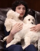 Finn Wolfhard : finn-wolfhard-1671582332.jpg