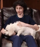 Finn Wolfhard : finn-wolfhard-1671582339.jpg