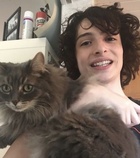 Finn Wolfhard : finn-wolfhard-1685640066.jpg