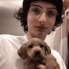 Finn Wolfhard : finn-wolfhard-1730837412.jpg