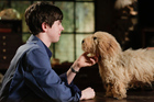 Freddie Highmore : freddie-highmore-1367979319.jpg