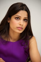 Freida Pinto : freida-pinto-1370210294.jpg