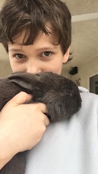 Gabriel Bateman : gabriel-bateman-1521401401.jpg