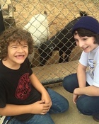 Gaten Matarazzo : TI4U1662588370.jpg