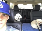 Grant Gustin : grant-gustin-1501746121.jpg