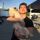 Gregg Sulkin : gregg-sulkin-1500137282.jpg