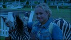 Hayden Panettiere : hayden_panettiere_1185297667.jpg