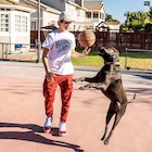 Hayes Grier : hayes-grier-1473912001.jpg