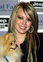 Hilary Duff : hillary_duff_1177965609.jpg