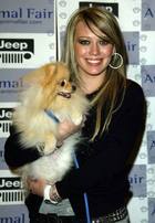 Hilary Duff : hillary_duff_1262970207.jpg