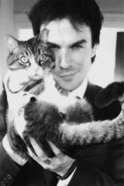 Ian Somerhalder : ian-somerhalder-1381334690.jpg