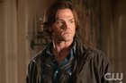 Jared Padalecki : jared_padalecki_1308742243.jpg