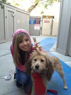 Jennette McCurdy : jennette-mccurdy-1327864996.jpg