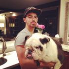 Joe Jonas : joe-jonas-1370282341.jpg