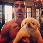 Joe Jonas : joe-jonas-1375872793.jpg