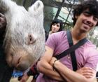 Joe Jonas : joejonas_1241920573.jpg